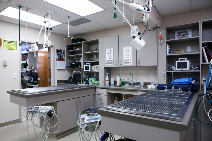 Compliance with Regulatory and Ethical Requirements