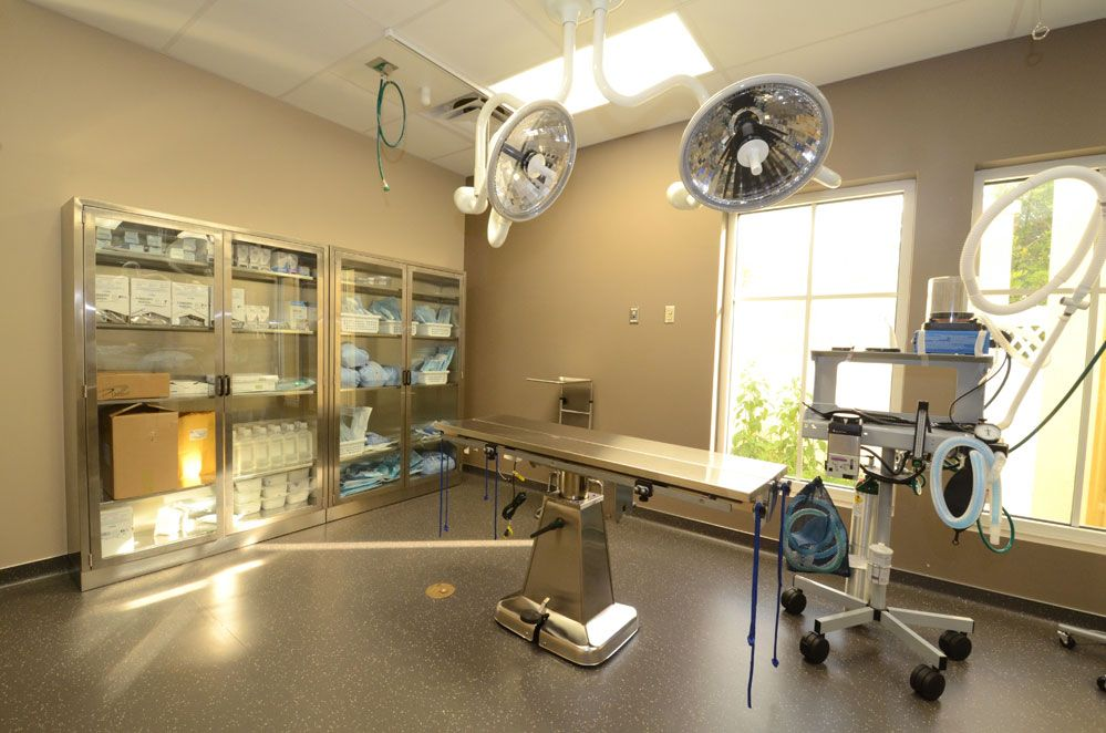 Increase in Diagnostic Accuracy